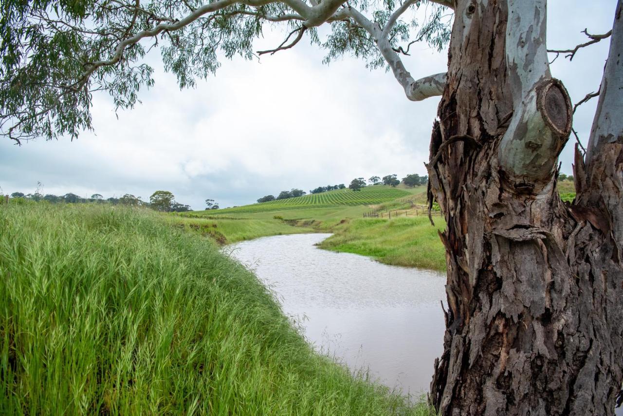 Triple Creek Guest House - Barossa Region Seppeltsfield Екстериор снимка