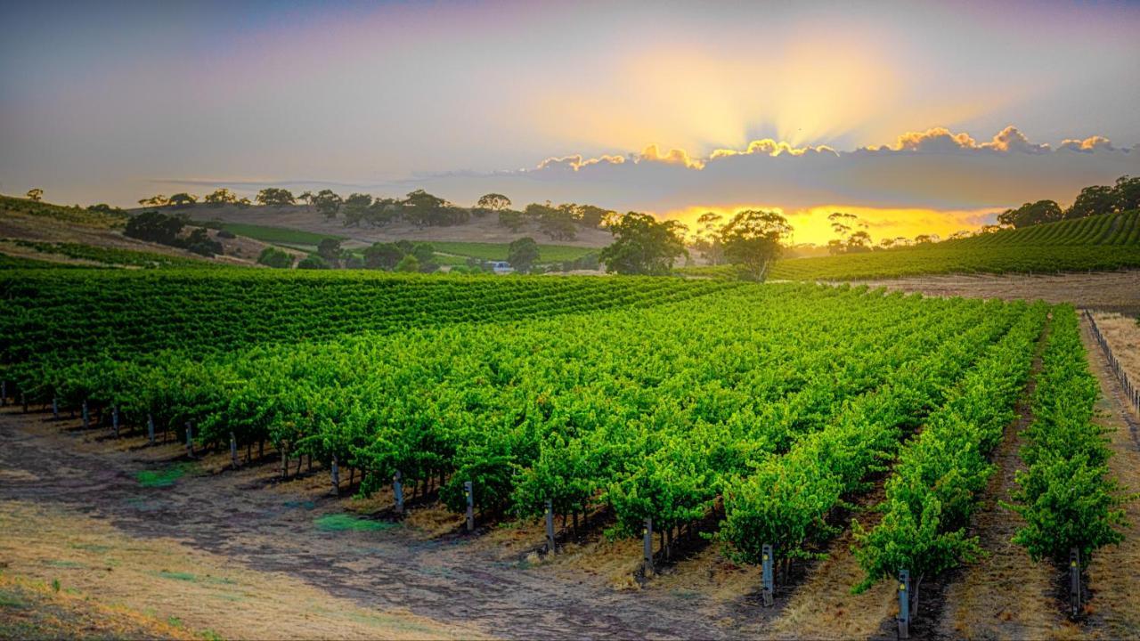 Triple Creek Guest House - Barossa Region Seppeltsfield Екстериор снимка