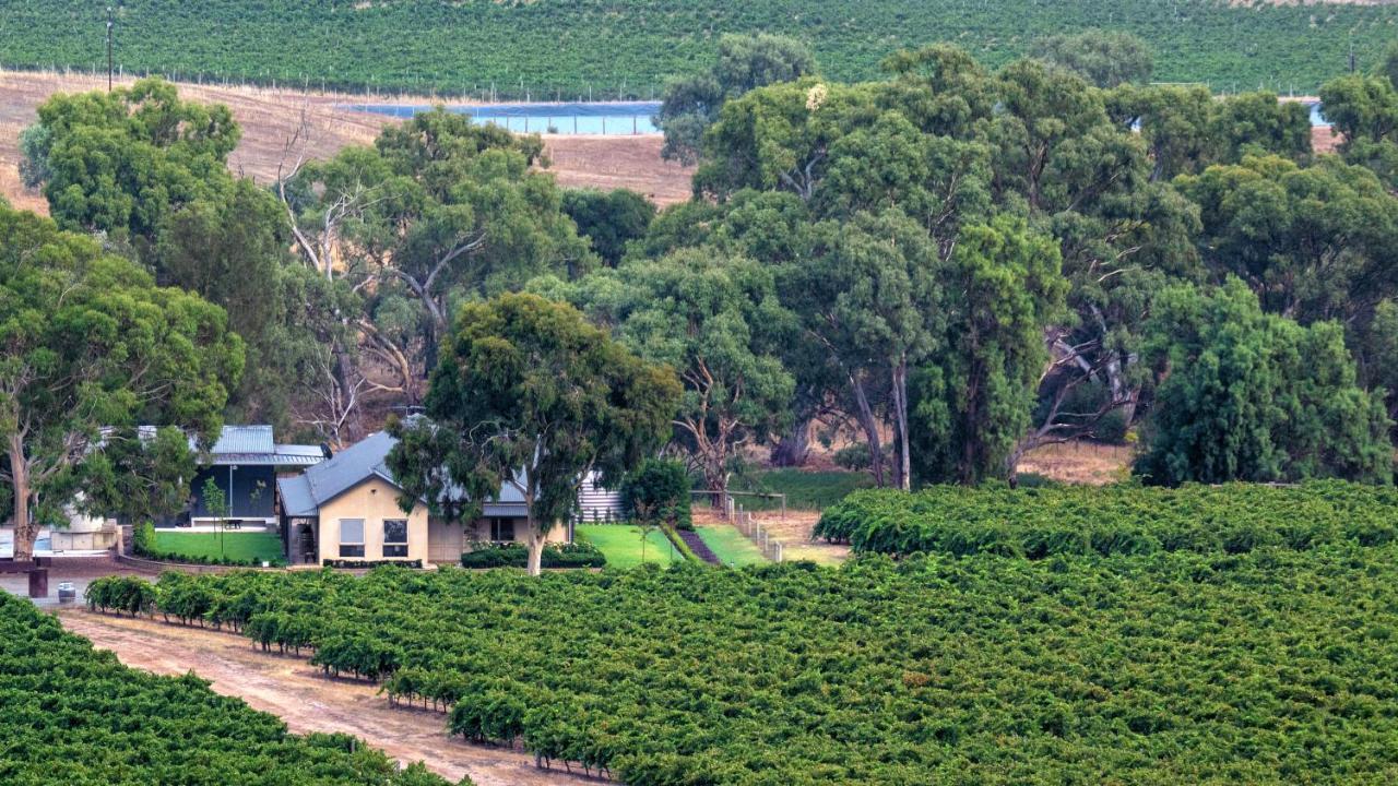 Triple Creek Guest House - Barossa Region Seppeltsfield Екстериор снимка
